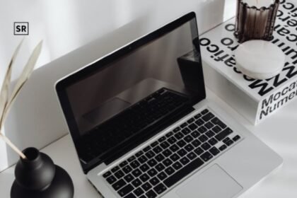 Contacts Seattlesportsonline Emails: Guide to Quickly Reaching the Right Team