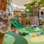 Koalasplayground Review: What Makes It So Popular?