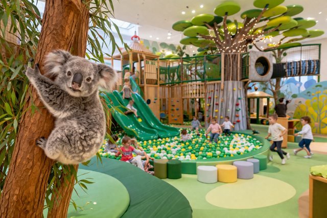 Koalasplayground Review: What Makes It So Popular?